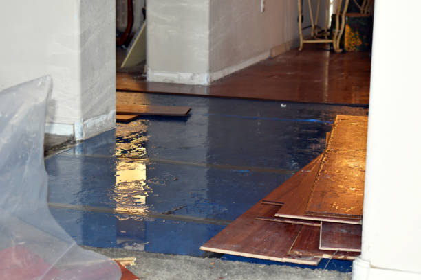 Professional Water Damage Restoration technician working in Reeds, MO